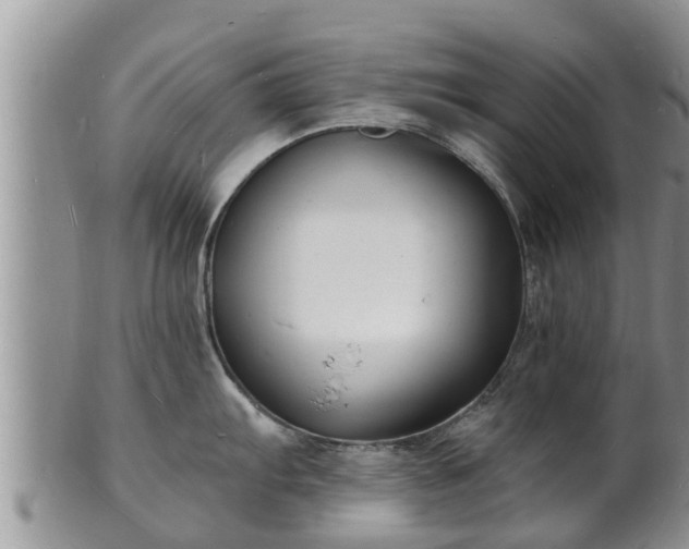 X0000102231103200808011219