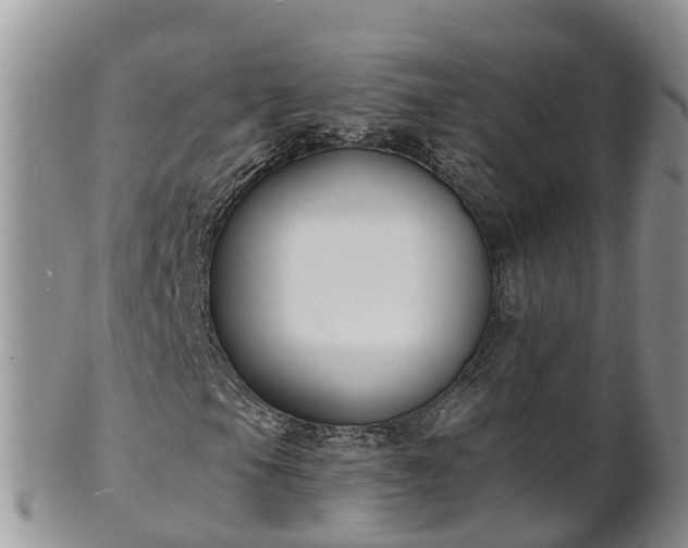 X0000102231105200808011218