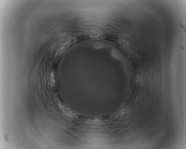 X0000102231106200808011218
