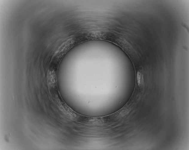 X0000102231107200808011218