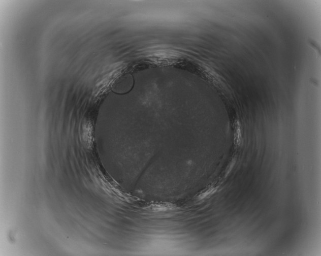 X0000102231108200808011218