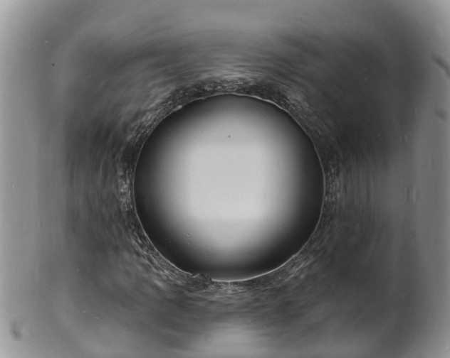 X0000102231109200808011218