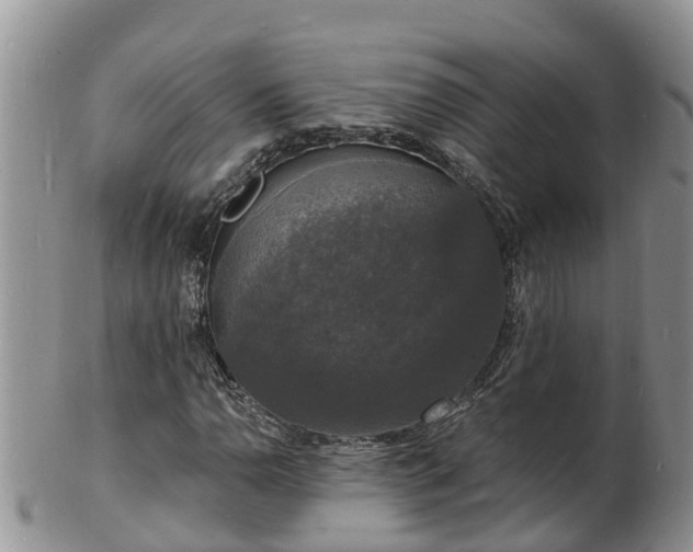 X0000102231110200808011218