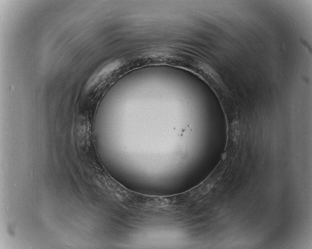 X0000102231111200808011218