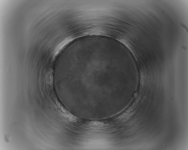 X0000102231115200808011218