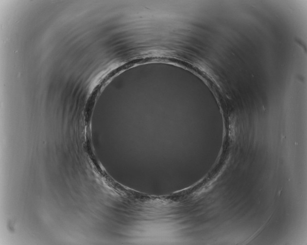 X0000102231117200808011219