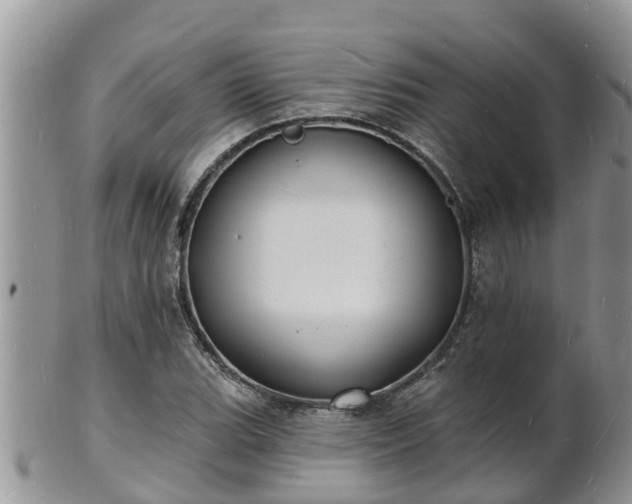 X0000102231119200808011219