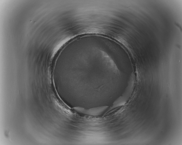 X0000102231120200808011219