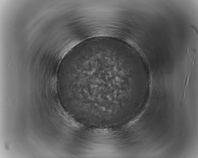 X0000102231121200808011219