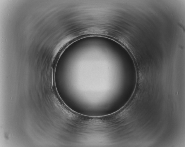 X0000102231123200808011219