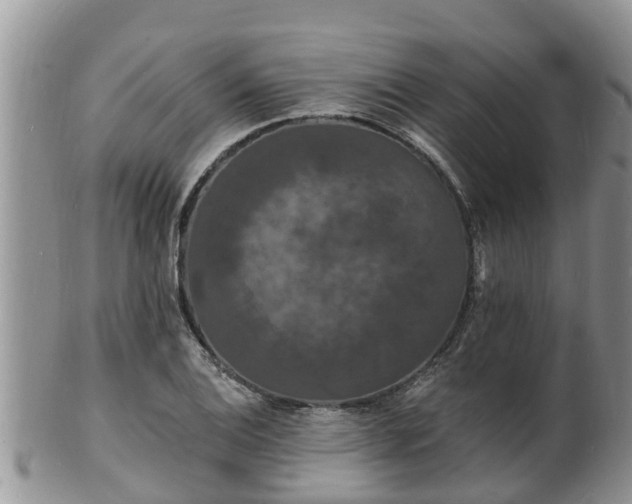 X0000102231124200808011219