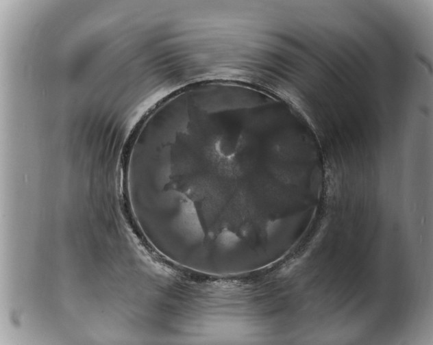 X0000102231125200808011219