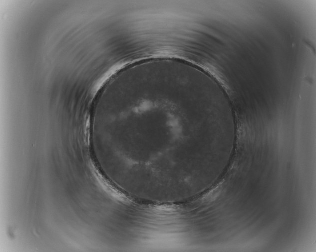 X0000102231126200808011219