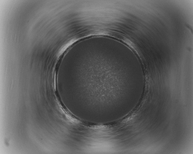 X0000102231127200808011219