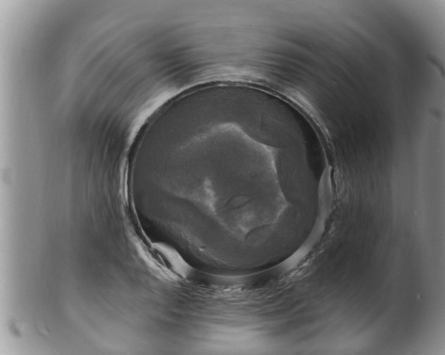 X0000102231128200808011219