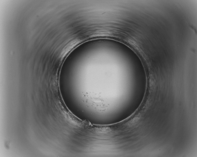 X0000102231129200808011219
