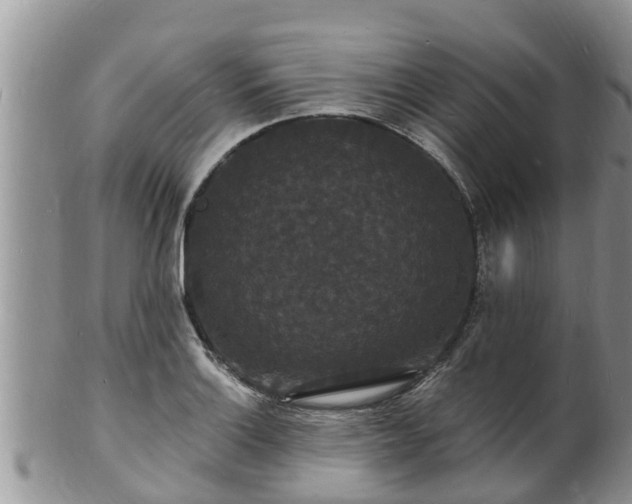 X0000102231132200808011219