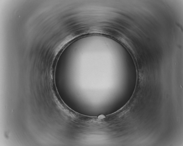 X0000102231133200808011219