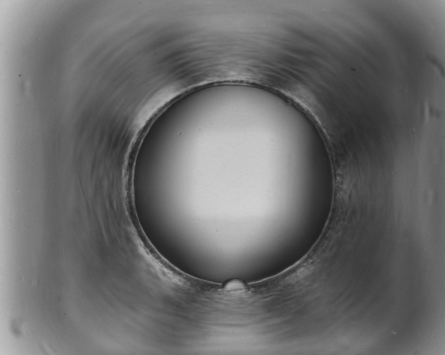 X0000102231135200808011219
