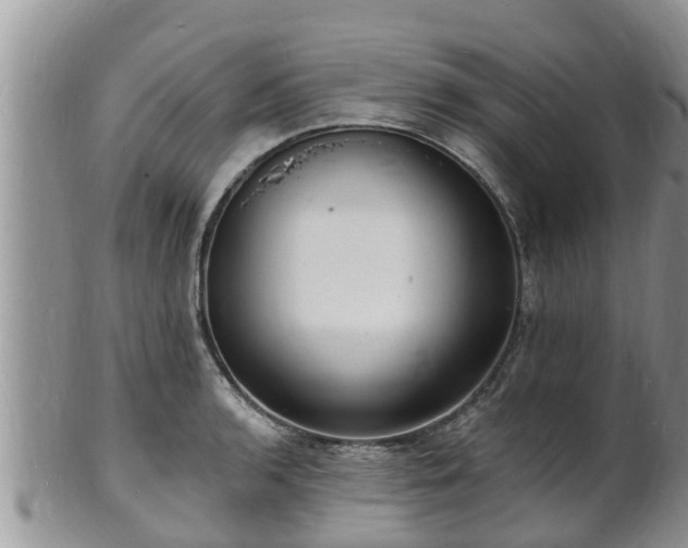 X0000102231136200808011219
