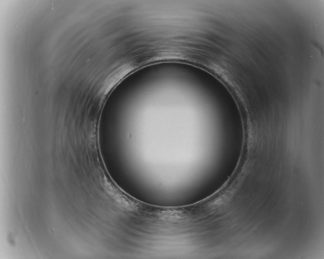 X0000102231137200808011219