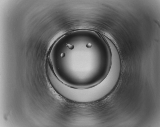 X0000102231138200808011219
