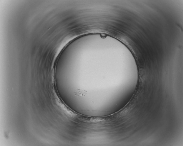 X0000102231140200808011219
