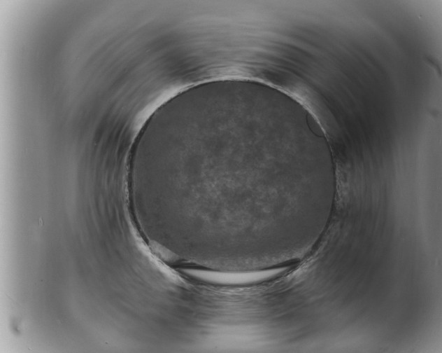 X0000102231142200808011219