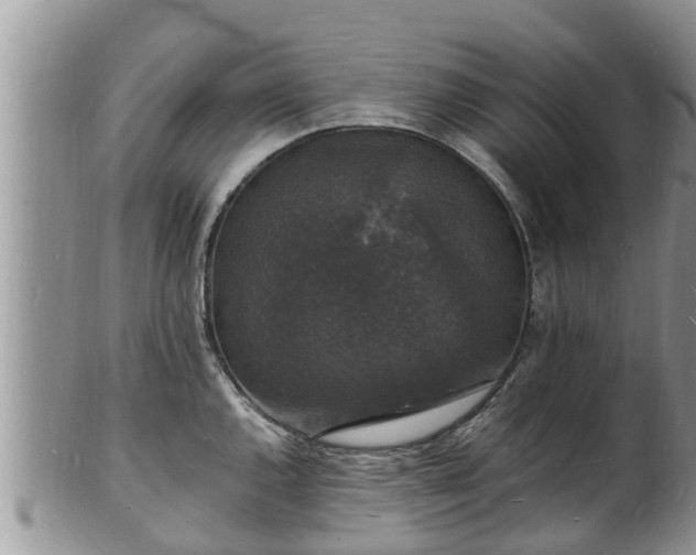 X0000102231144200808011219