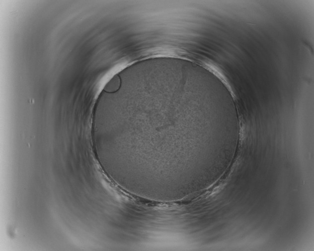 X0000102231146200808011219