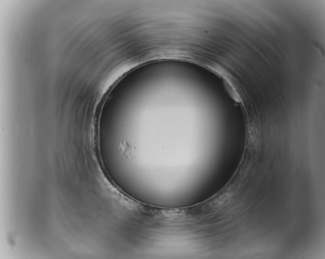 X0000102231147200808011219