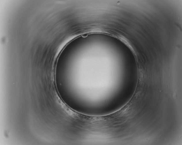X0000102231148200808011219