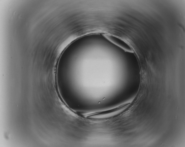 X0000102231151200808011219
