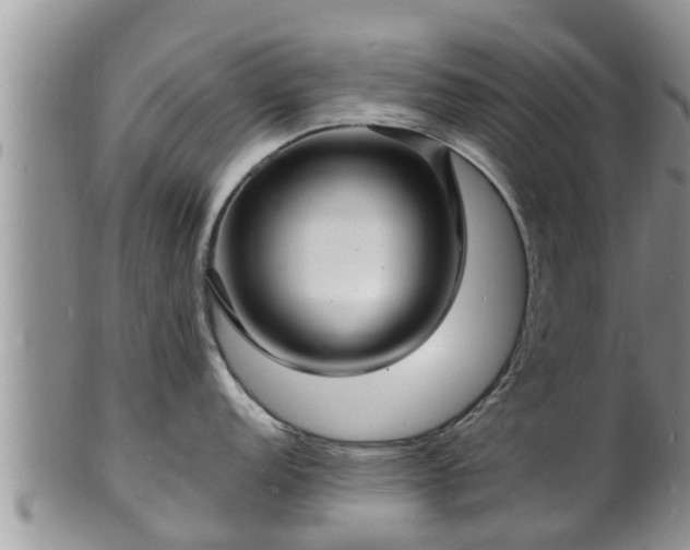X0000102231152200808011219