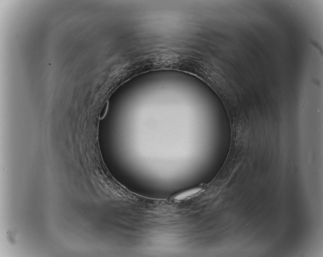 X0000102231153200808011218