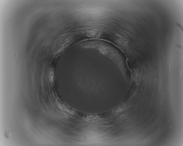X0000102231154200808011218