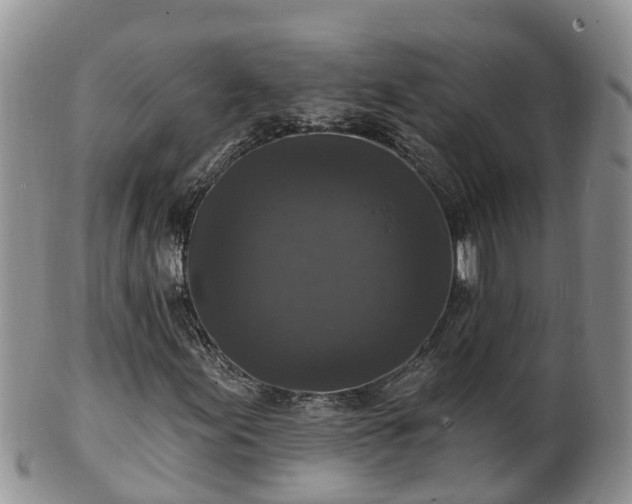 X0000102231155200808011218