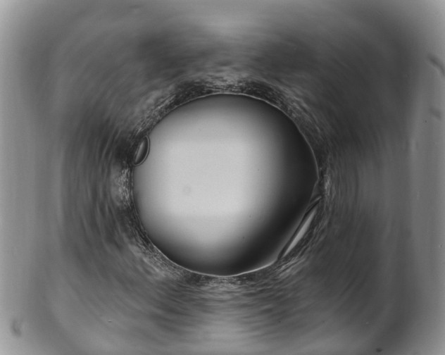 X0000102231156200808011218