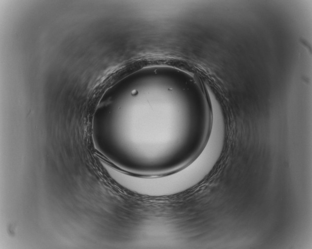 X0000102231157200808011218