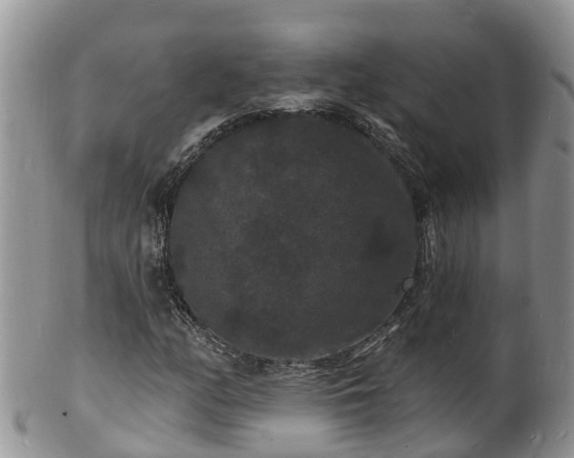 X0000102231158200808011218