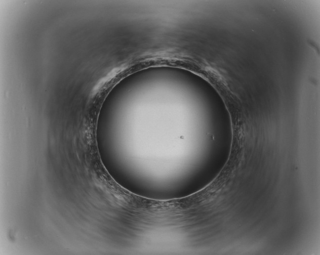 X0000102231159200808011218