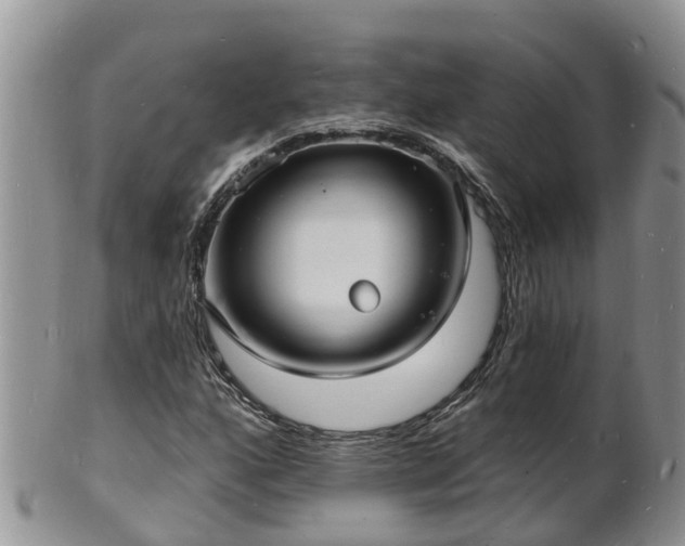 X0000102231160200808011218