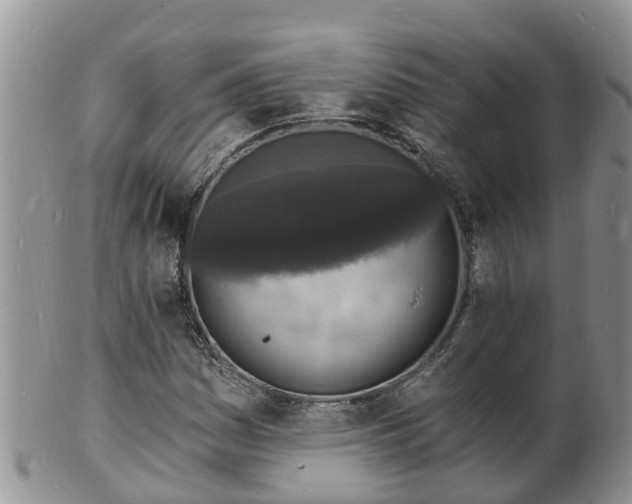 X0000102231161200808011218