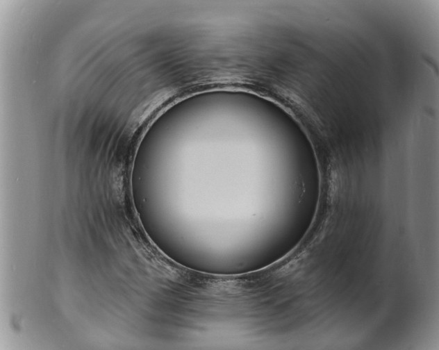 X0000102231162200808011218