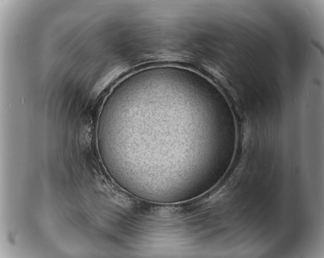 X0000102231163200808011218
