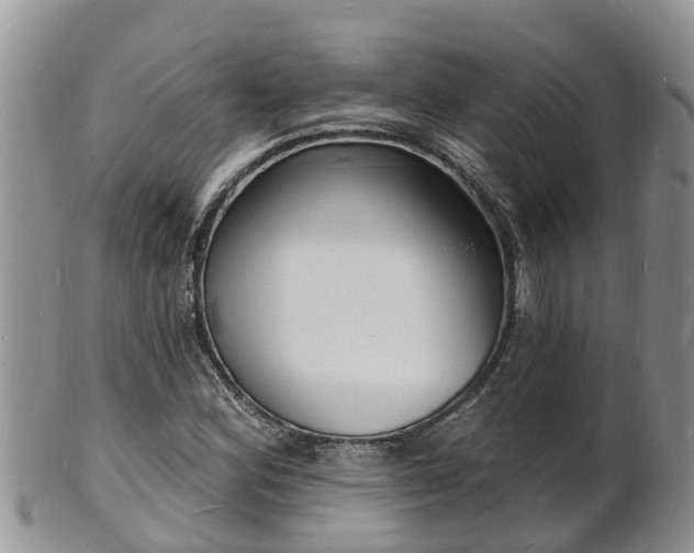 X0000102231164200808011218