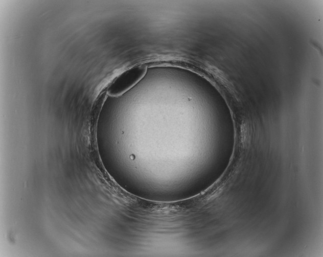 X0000102231165200808011218