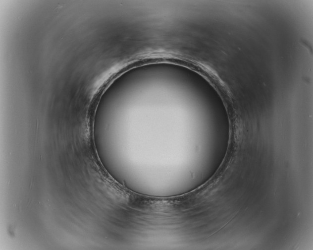 X0000102231167200808011218