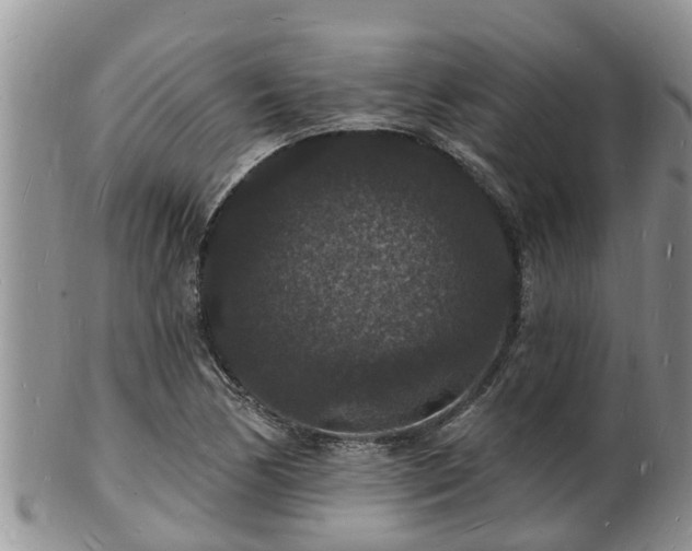 X0000102231170200808011218