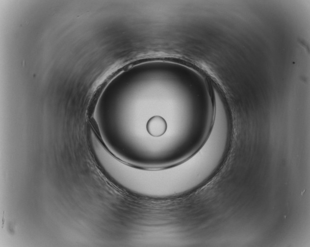 X0000102231173200808011218